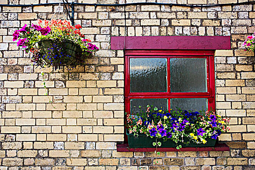 花,装饰,红色,窗户,砖墙,湖区,坎布里亚,英格兰