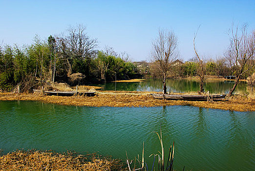 杭州西溪湿地