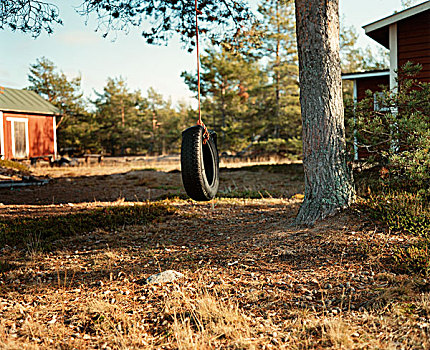 轮胎,秋千,花园,夏天,房子,岛屿,芬兰,十月,2006年