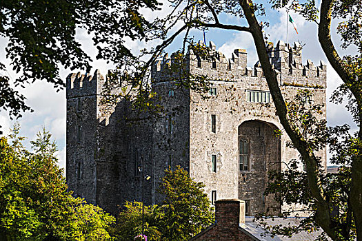 石头,城堡,框架,树,云,蓝天,克雷尔县,爱尔兰