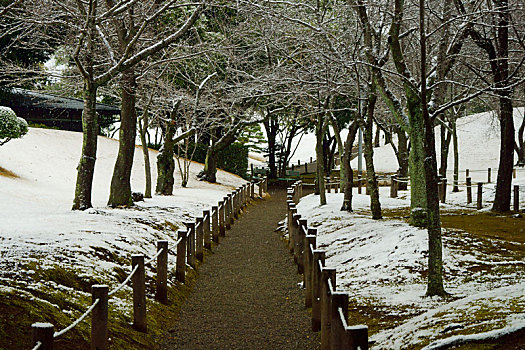 雪,秋天,花园,熊本,日本