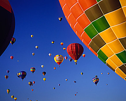 热气球,高,阿布奎基,气球,节日,新墨西哥,大幅,尺寸