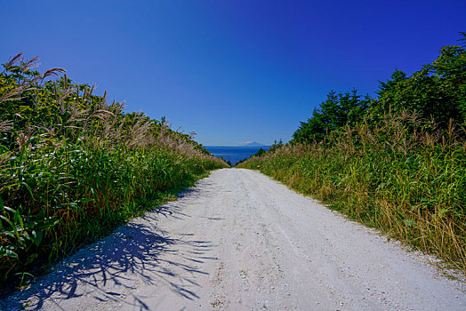 白色,道路