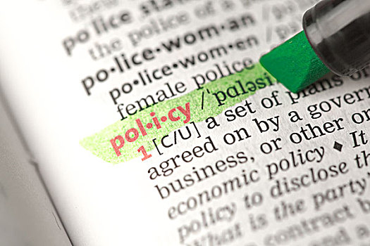 政策,定义,突显,绿色,字典