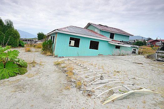 毁坏,房子,火山爆发,火山,2008年,区域,拉各斯,巴塔哥尼亚,智利,南美