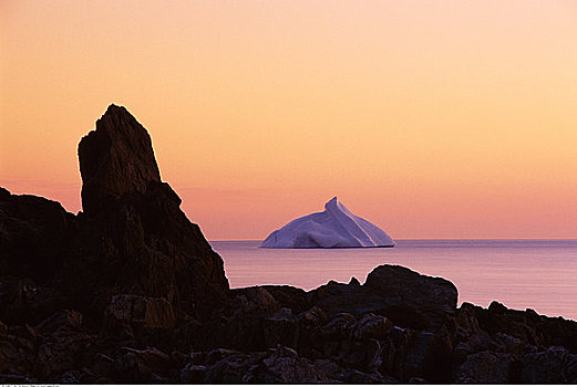 冰山,特威林盖特岛,纽芬兰,拉布拉多犬,加拿大