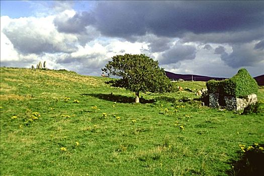农场,地点,立石,爱尔兰
