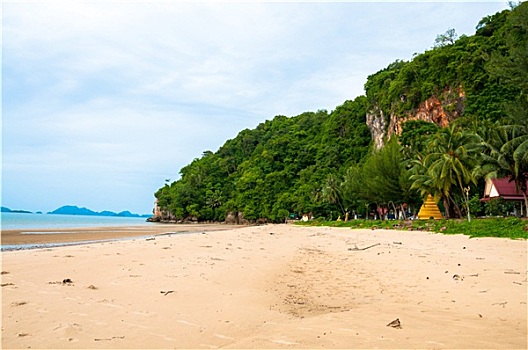 美女,风景,海滩