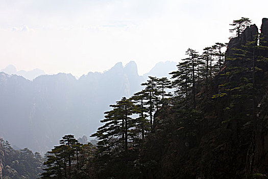 黄山,奇石,云海,壮观,名胜,风景,0002