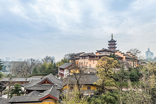 樱花,盛开,南京,明长城,鸡鸣寺