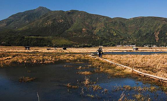 腾冲湿地公园