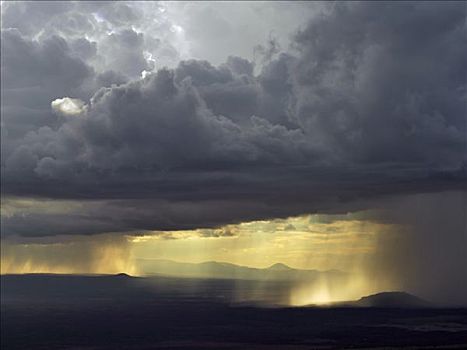 雨,落下,查沃,国家公园,肯尼亚