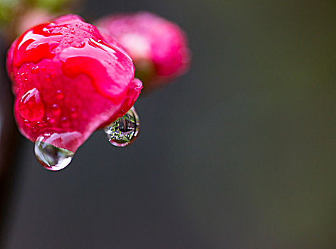 水点