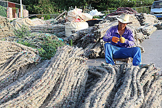 织渔网