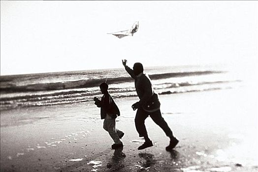 父亲,儿子,放风筝,海滩