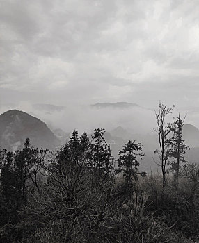 贵州醇景区风光