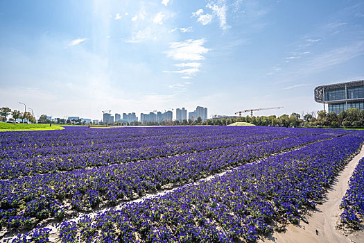 花田基地