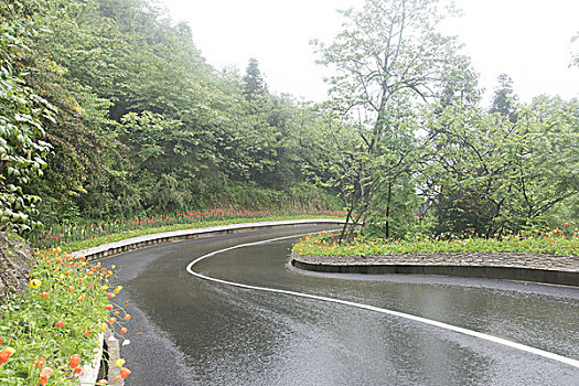 鲜花公路