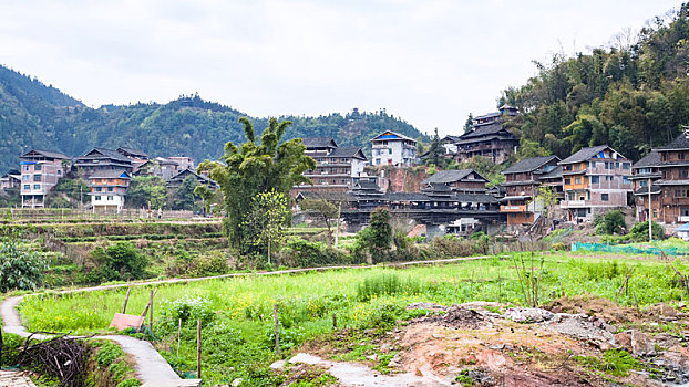 乡村,桥,后院