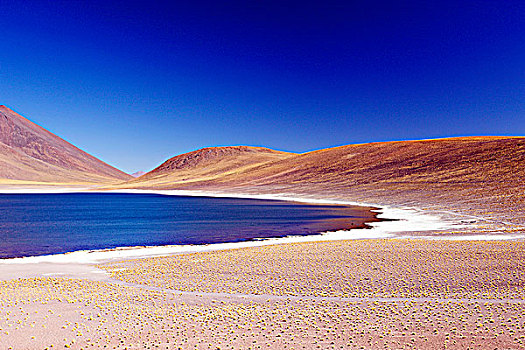 智利,阿塔卡马沙漠,高原,泻湖