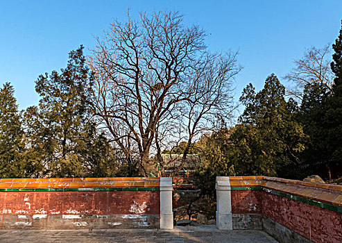 颐和园后山喇嘛庙围墙