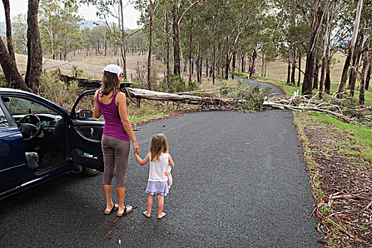 女人,女孩,户外,交通工具,途中,阻挡,落下,树,黄金海岸,昆士兰,澳大利亚