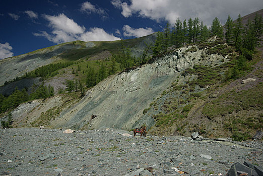 山景,高地,山峰,峡谷,山谷,石头,斜坡