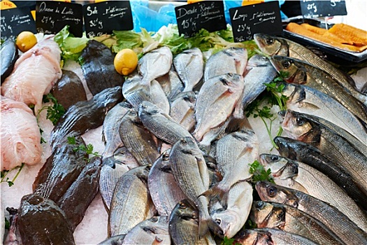 新鲜,地中海,鱼肉,市场,法国