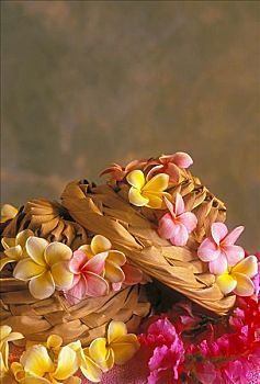 夏威夷,花,花环,编织物,椰子,帽子