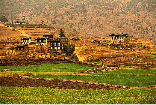 风景,建筑,道路,普那卡,不丹