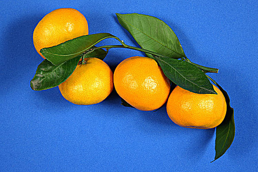 四个橘子