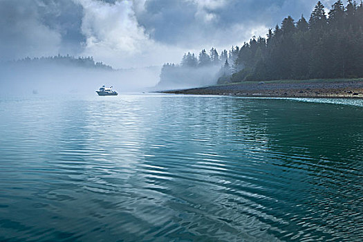 渔船,雾,小湾,冰河湾国家公园,保存,东南阿拉斯加,夏天