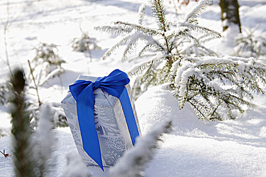 礼物,蓝带,雪中