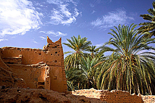 加达梅斯,利比亚,遗址,老城,棕榈树