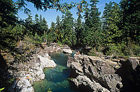 小,河,省立公园,人,游泳,温哥华岛,不列颠哥伦比亚省,加拿大