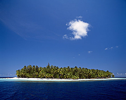 马累环礁,马尔代夫,印度洋