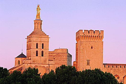 教皇宫,大教堂,阿维尼翁,沃克吕兹省,罗纳河谷,普罗旺斯,法国,欧洲