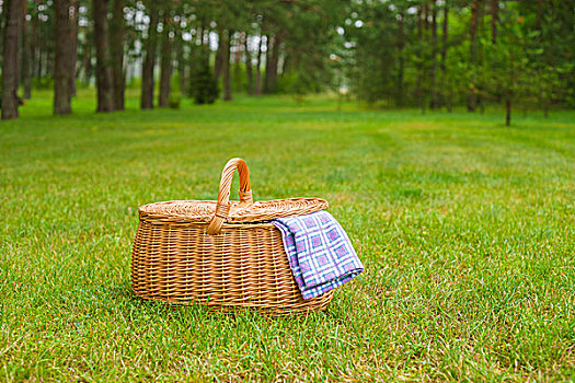野餐篮,蓝色,白色,方格,餐巾,草地,夏天,公园,草坪,背景