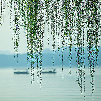 杭州西湖春色