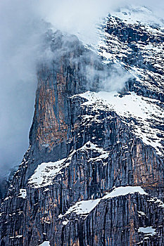 特写,雪,峭壁,雾,山顶,少女峰,伯恩高地,瑞士
