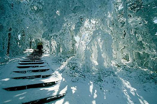 四川大雪后的峨嵋山金顶景区