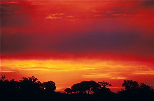 博茨瓦纳,日落,奥卡万戈三角洲