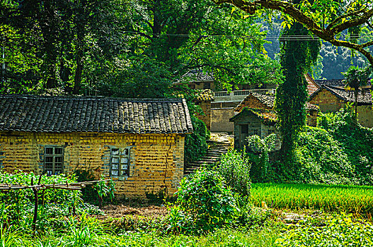 森林与小屋