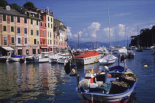 船,河,正面,建筑,波托菲诺,热那亚,意大利