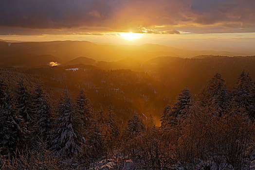 日落,冬天,莱茵河,朴素,黑森林,国家公园,北方,高,道路,巴登符腾堡,德国