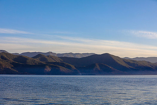 展翅飞行的海鸥