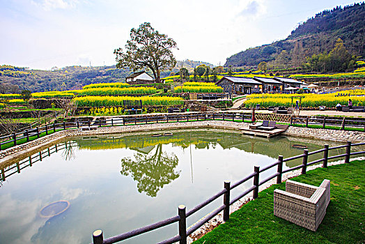 南山,民宿,农家乐,田园