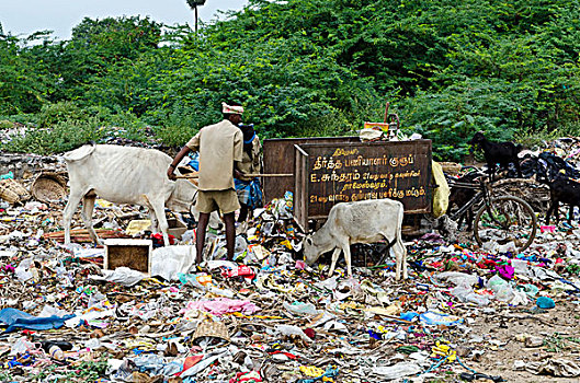朝拜,场所,满,垃圾,泰米尔纳德邦,印度,亚洲
