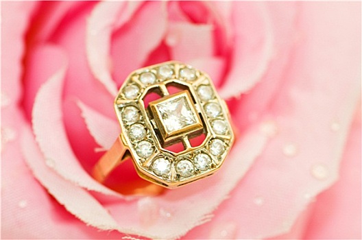 金环,粉红玫瑰