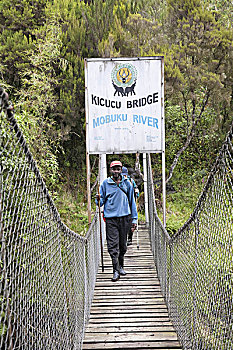 桥,上方,河,鲁文佐里山,乌干达